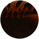 PRISMATIC Bustle Therodontosaurus Unlocked! Roblox badge thumbnail