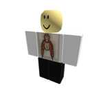 Engineering Roblox Team