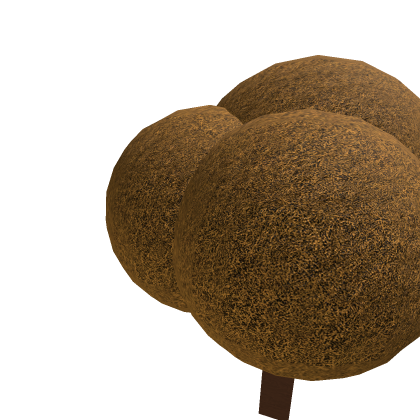orange tree