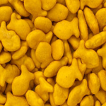The Gold Fish Gang