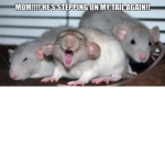 Selina and her rats