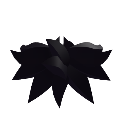 Witch Cat Neck Fur