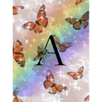 Ameera’s bxbes