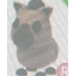 몰라어랑