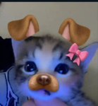 cutesy melody