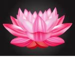 Lotus Fashion