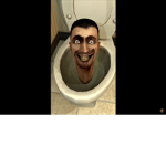 Anonymous skibidi toilet fans