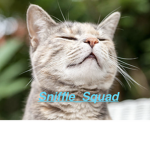 Sniffle_Squad