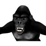 Da Gorrilas