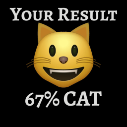 Cat Test 🐱
