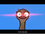 Meme Group Fan