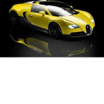 Yellow Gang_ For Life!