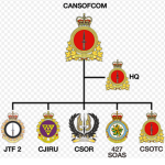The Canadian Special Operations Forces Command