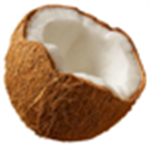 Coconut fan Group