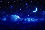 Clan NightFall