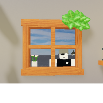 Window