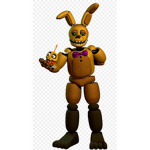 Spring Bonnie cult