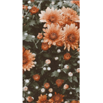 Aesthetics................................. <3