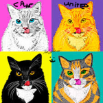 All Kittens United