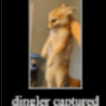 Deadline Content Update Branch