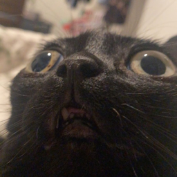 jinx