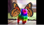 Unicorn butterfly kitties