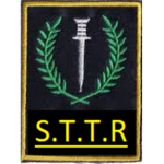 Special Tactical Team Response