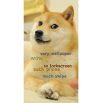 Doge donation plz