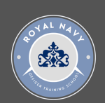 Surface Fleet-