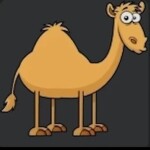Camel 🐪