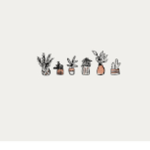 Simple_Aesthetic