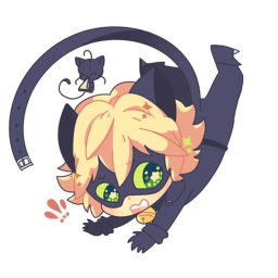 cat street #