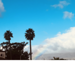 • Pɪɴᴇᴀᴘᴘʟᴇ Pᴇᴏᴘʟᴇ •