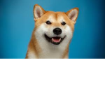 Adopt me pet sitter group