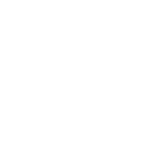 Aves Apparels