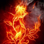Ultimate Fire Devs