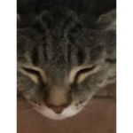 My name is Jeff studios