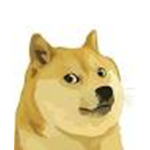 buddy army