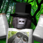The Monk Jungle