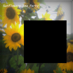 Sunny's Tea Party