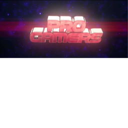 The Pro Gamers Game!