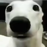 #### ##### :D (joke)