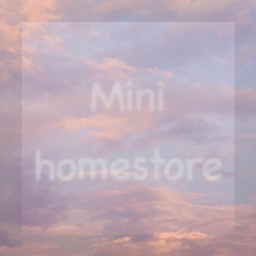 Mini homestore!