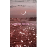- Aesthetic Apperal -