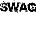 ROBLOX got swag
