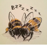 Bee a Star!! :DDD