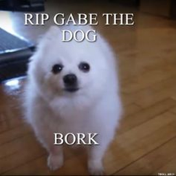 Gabe's Funeral