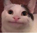 Sad epic cat :(