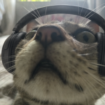 RamonStudios