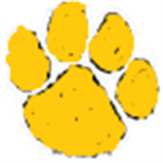 [BCO]-Gold Paw